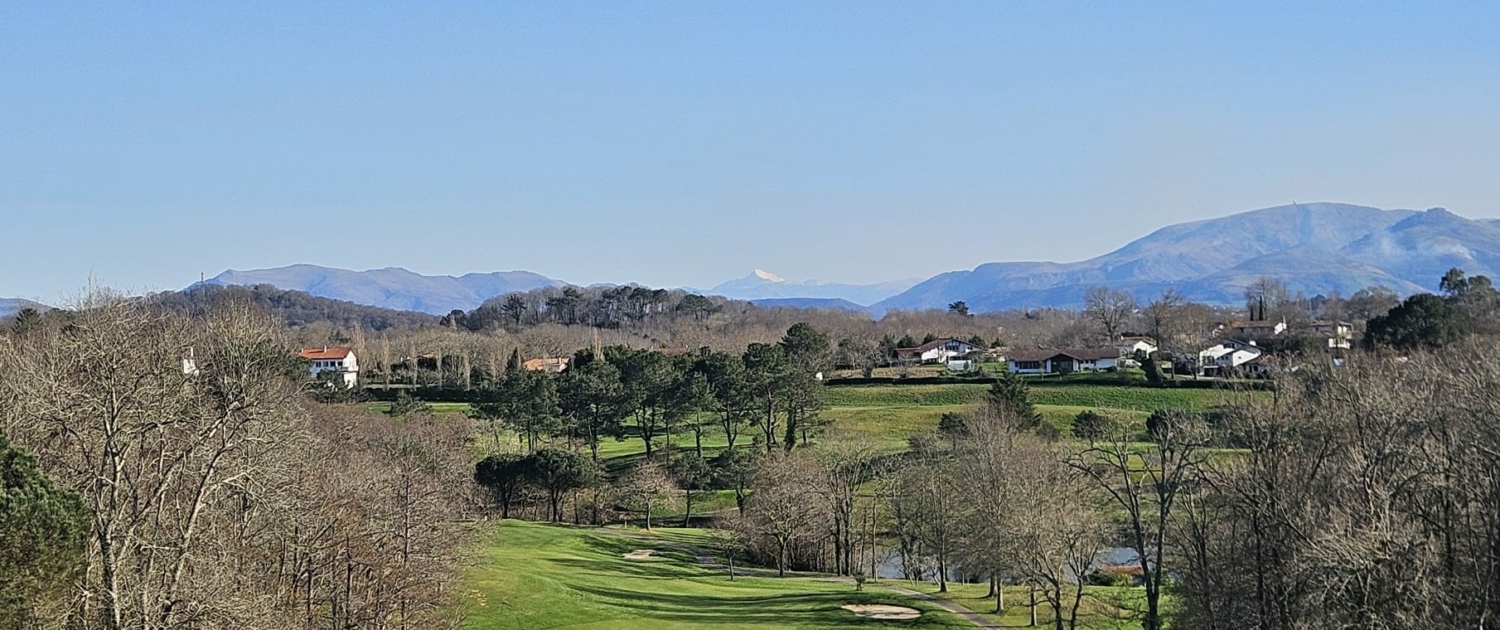 WhatsApp Image 2026-03-02 at 17.34.51